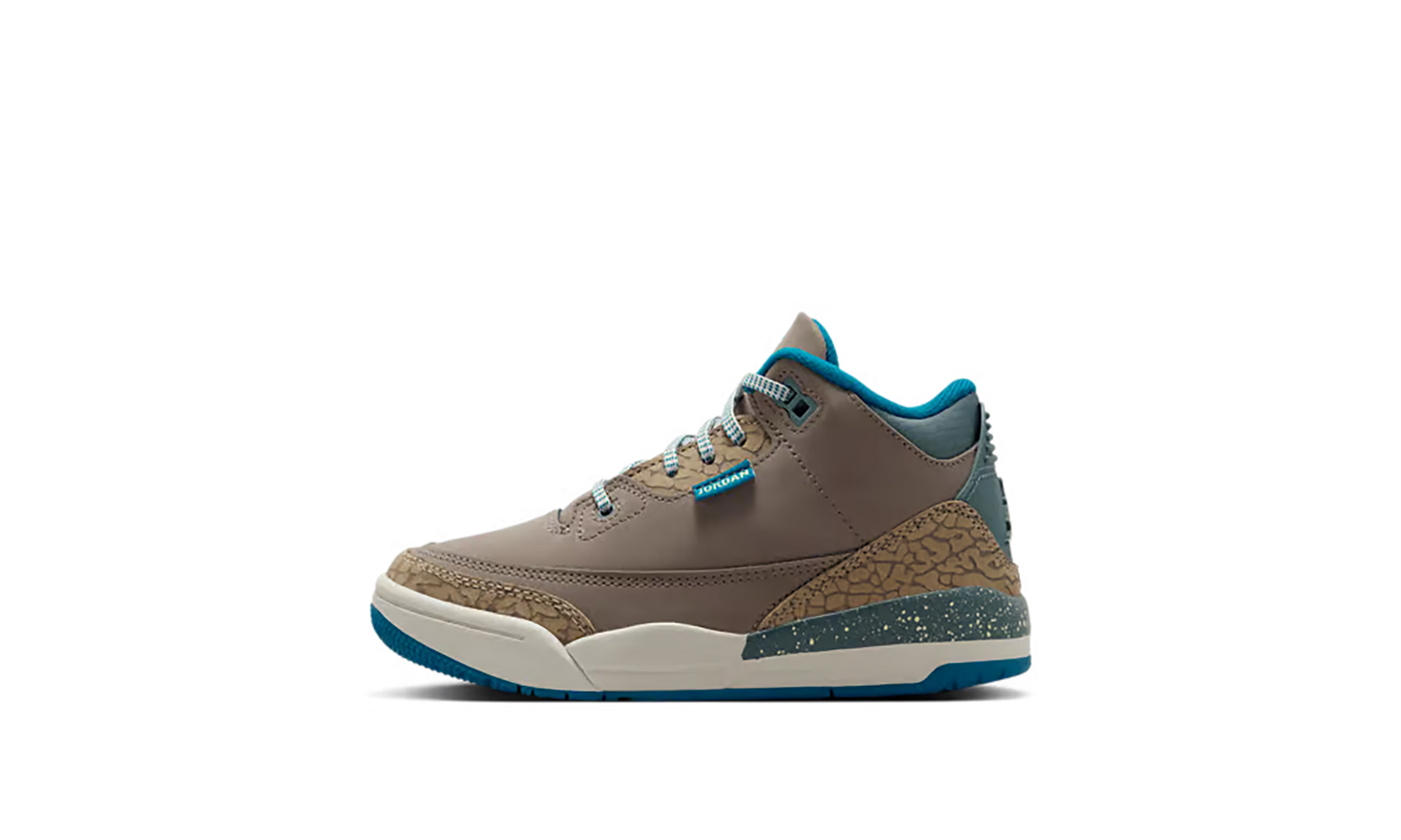 Air Jordan 3 PS We Outside IB7064 001