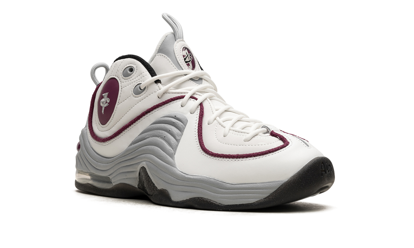 AIR PENNY 2 WMNS Rosewood DV1163 100