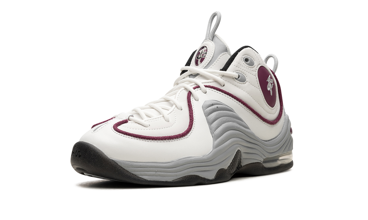 AIR PENNY 2 WMNS Rosewood DV1163 100