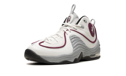 AIR PENNY 2 WMNS Rosewood DV1163 100