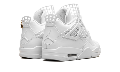 Air Jordan 4 WMNS Net FN7251 107