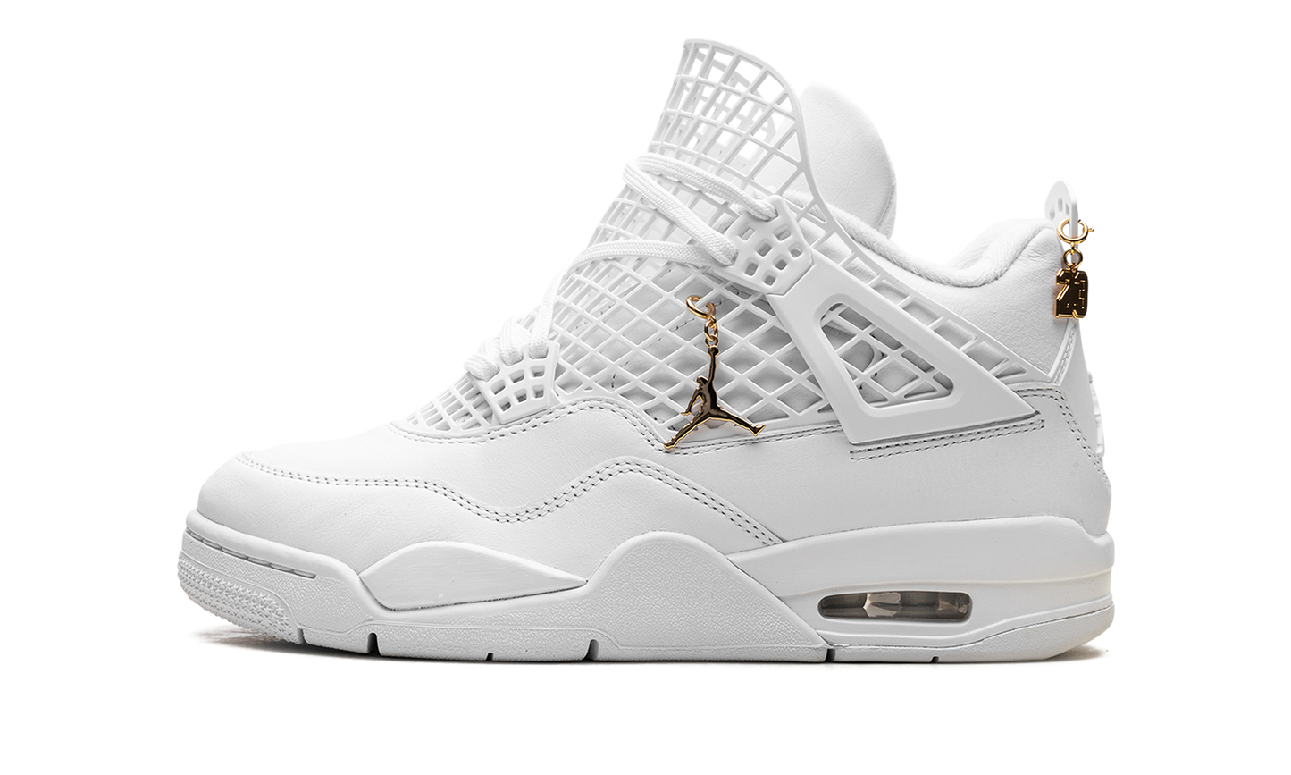 Air Jordan 4 WMNS Net FN7251 107