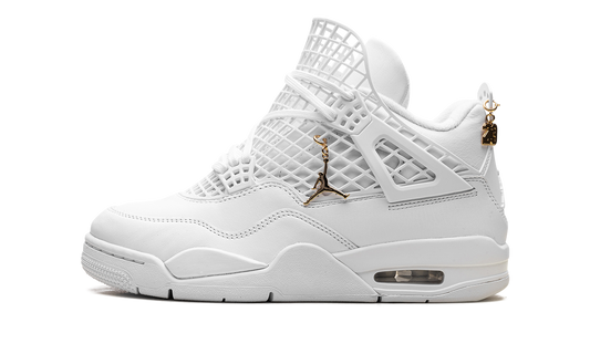 Air Jordan 4 WMNS Net FN7251 107
