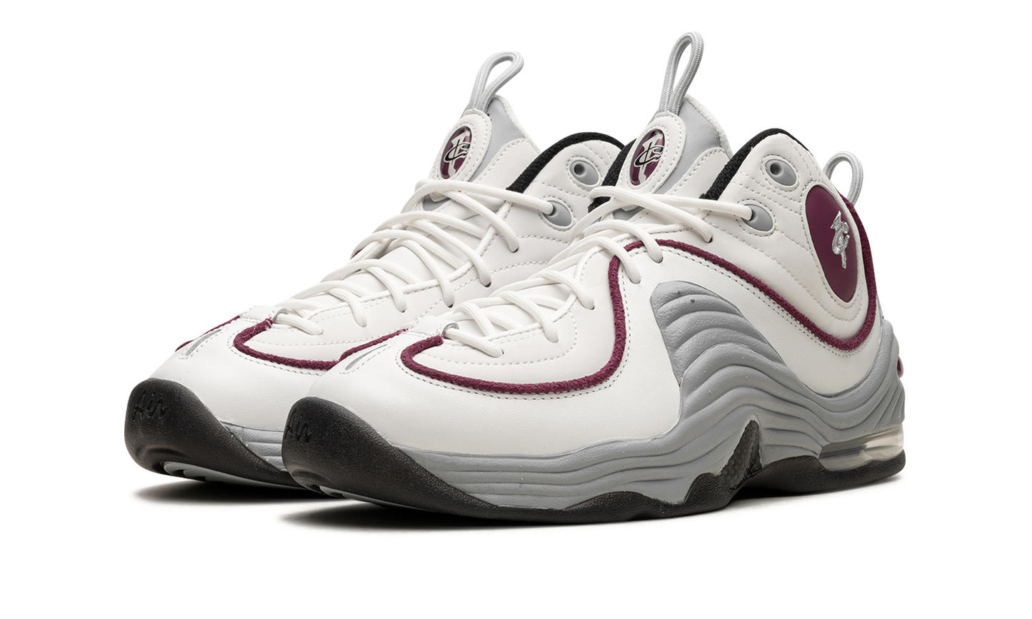 AIR PENNY 2 WMNS Rosewood DV1163 100