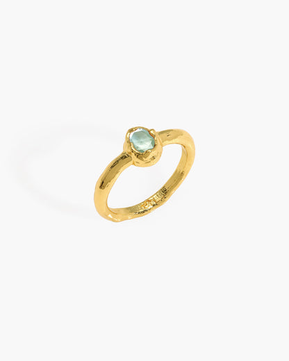 Birthstone Ring in Gold - December