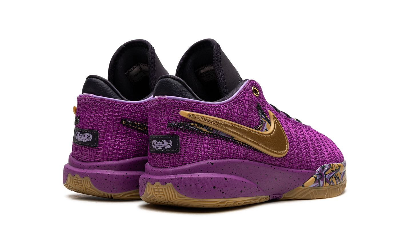 LeBron 20 GS Young Heirs FD0207 500