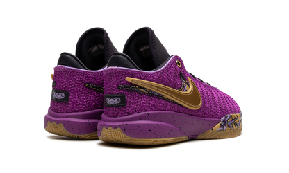 LeBron 20 GS Young Heirs FD0207 500