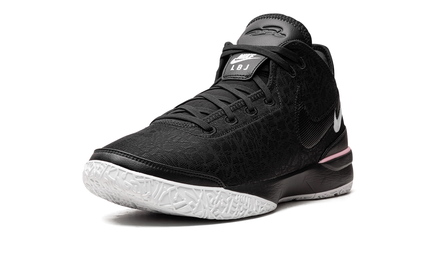 Nike Zoom LeBron NXXT Gen Black/White DR8784 003
