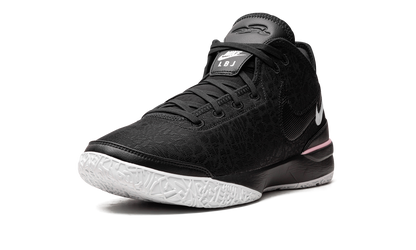 Nike Zoom LeBron NXXT Gen Black/White DR8784 003