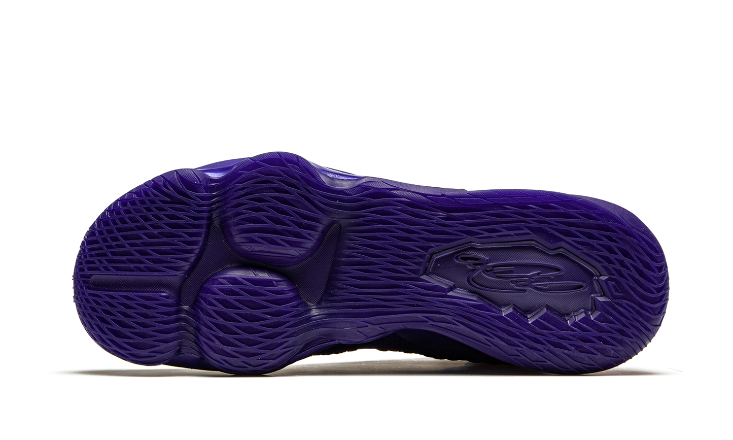 Lebron 17 Bron 2K