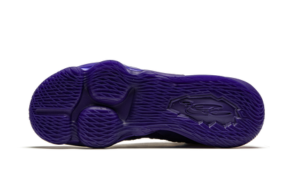 Lebron 17 Bron 2K