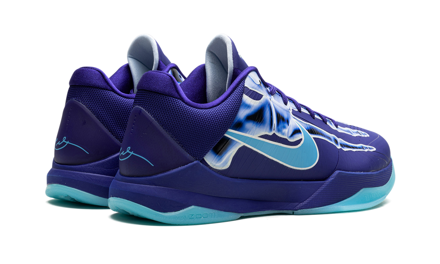 Zoom Kobe 5 Protro X-Ray HJ4303 400