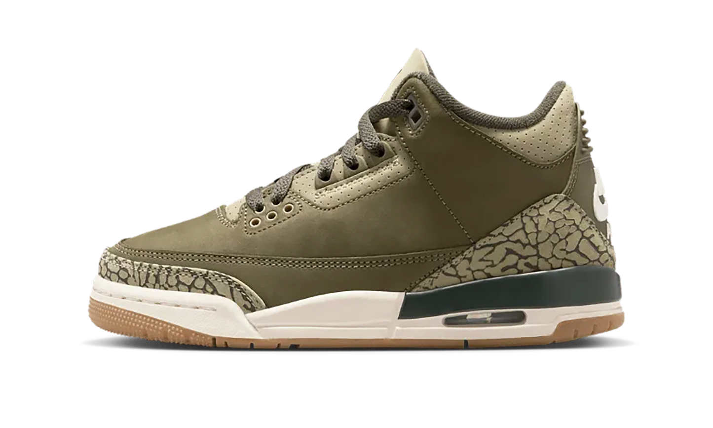 Air Jordan 3 TD Family Affair DM0968 202