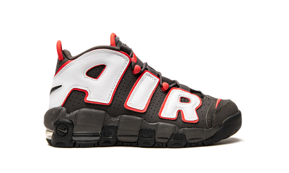 Air More Uptempo GS Brown Bulls DH9719 200