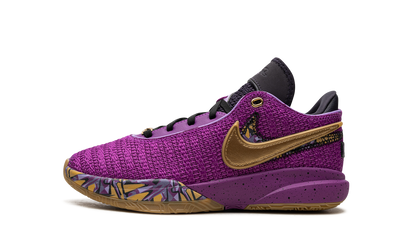 LeBron 20 GS Young Heirs FD0207 500