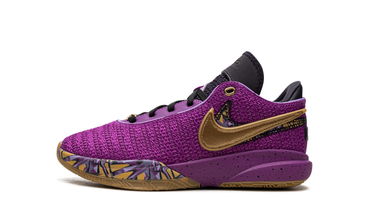 LeBron 20 GS Young Heirs FD0207 500