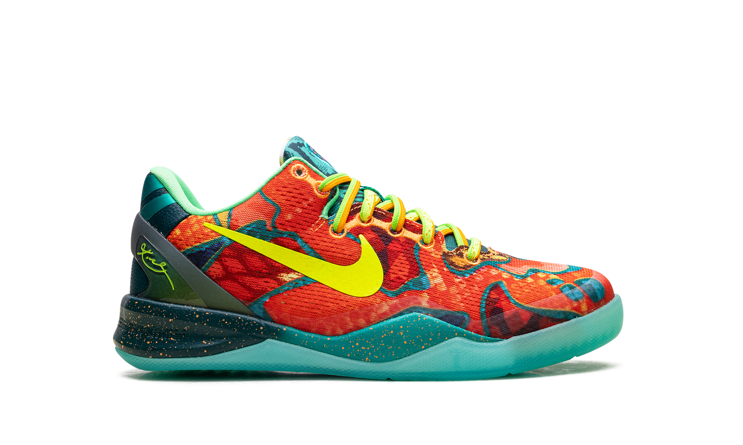 Kobe 8 Protro GS What The (2025) FN0266 800