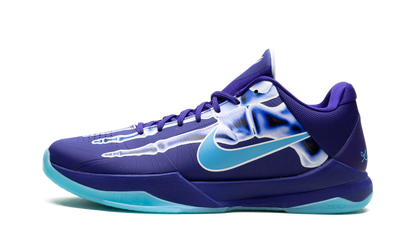 Zoom Kobe 5 Protro X-Ray HJ4303 400