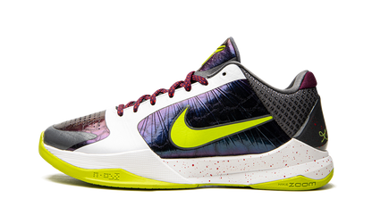 Kobe 5 Protro Chaos CD4991 100