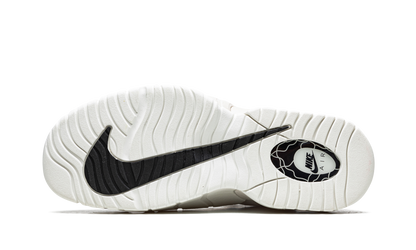 Air Max Penny 1 Social Status - Desert Sand DM9130 100