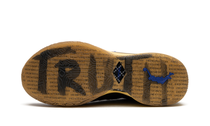 LeBron 20 Uninterrupted FN0941 001