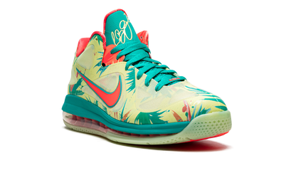 LeBron 9 Low LeBronald Palmer DO9355 300