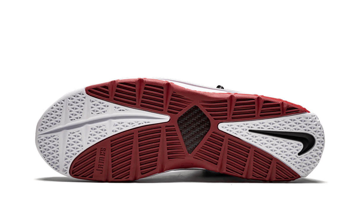 Zoom Lebron III QS Home Release AO2434 101