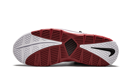 Zoom Lebron III QS Home Release AO2434 101