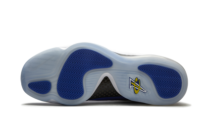 Air Penny 5 Blue Chips 537331 402