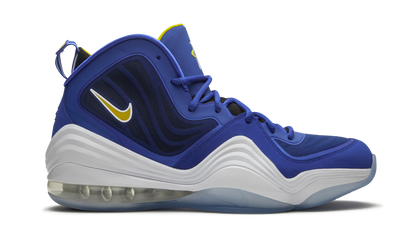 Air Penny 5 Blue Chips 537331 402