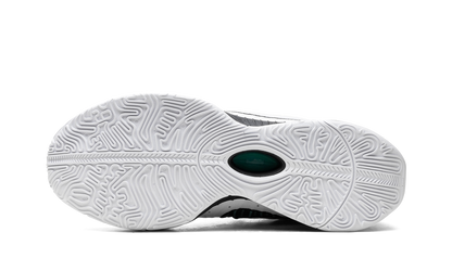 LeBron 21 Conchiolin HF5841 100