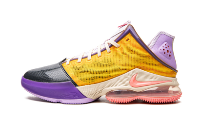 Lebron XIX Low Mismatch DO9829 500