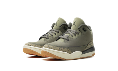 Air Jordan 3 PS Family Affair DM0966 202