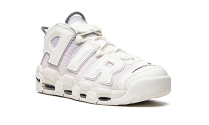 Air More Uptempo Thank You, Wilson DR9612 100