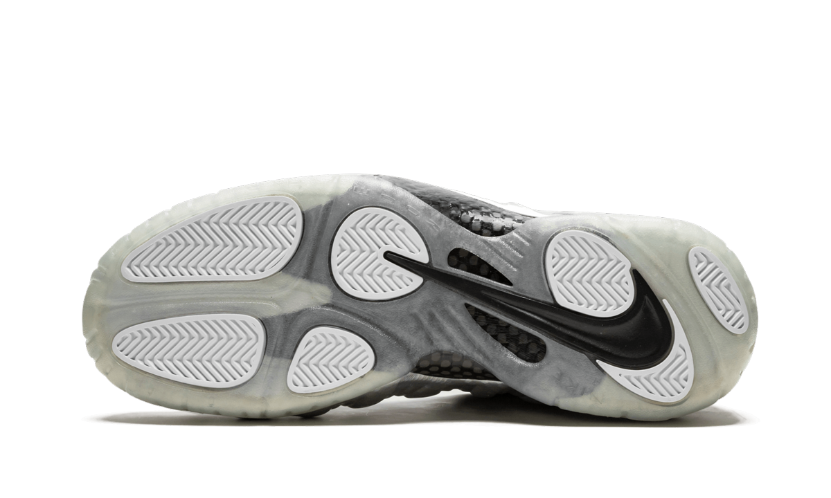 Air Foamposite Pro Silver Surfer 616750 004