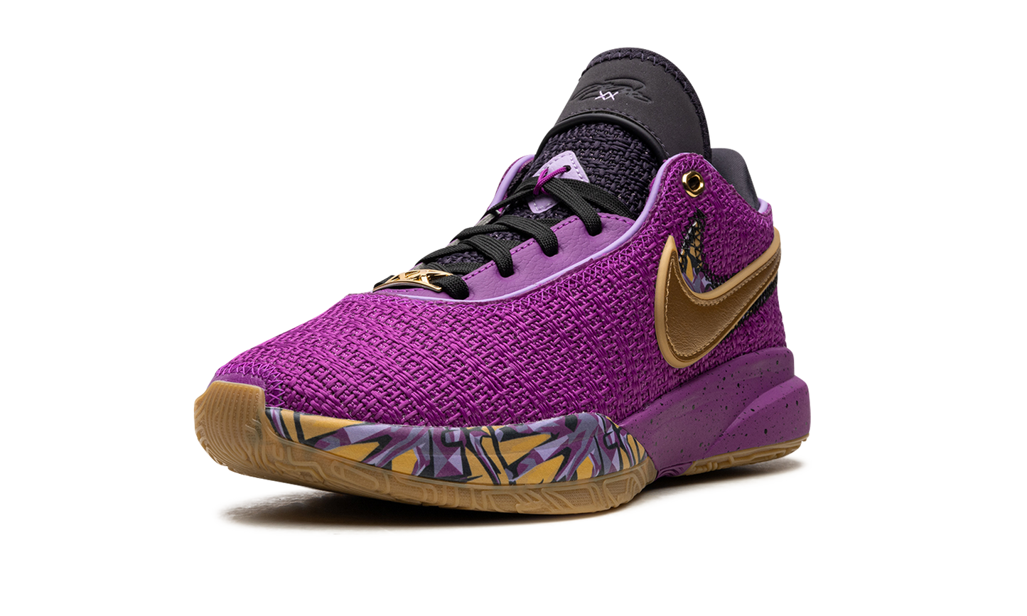 LeBron 20 GS Young Heirs FD0207 500