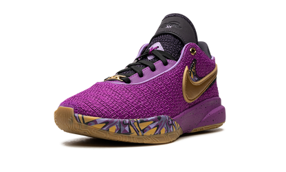 LeBron 20 GS Young Heirs FD0207 500