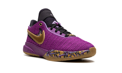 LeBron 20 GS Young Heirs FD0207 500