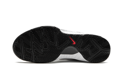 Zoom Kobe 4 Protro Mambacita Gigi FJ9363 100