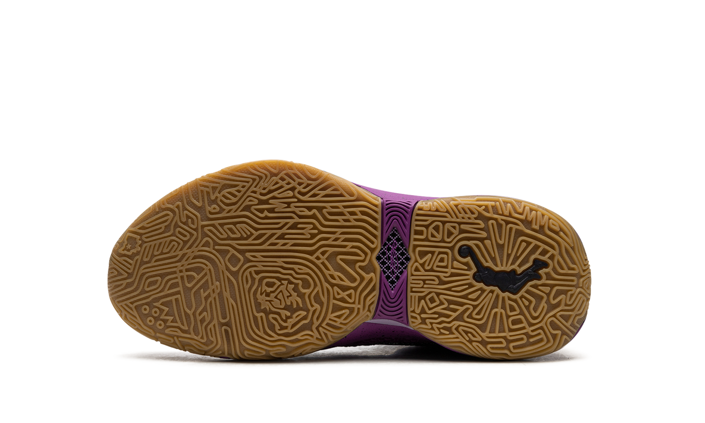 LeBron 20 GS Young Heirs FD0207 500