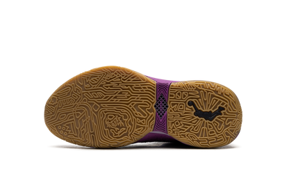 LeBron 20 GS Young Heirs FD0207 500