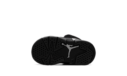 Air Jordan 6 Retro TD Cap and Gown IR2296 010