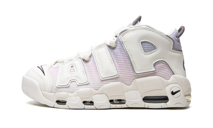 Air More Uptempo Thank You, Wilson DR9612 100