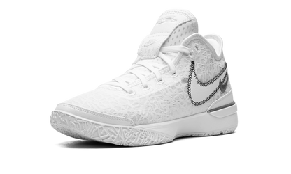 Zoom Lebron NXXT Gen White / Metallic Silver DR8784 101