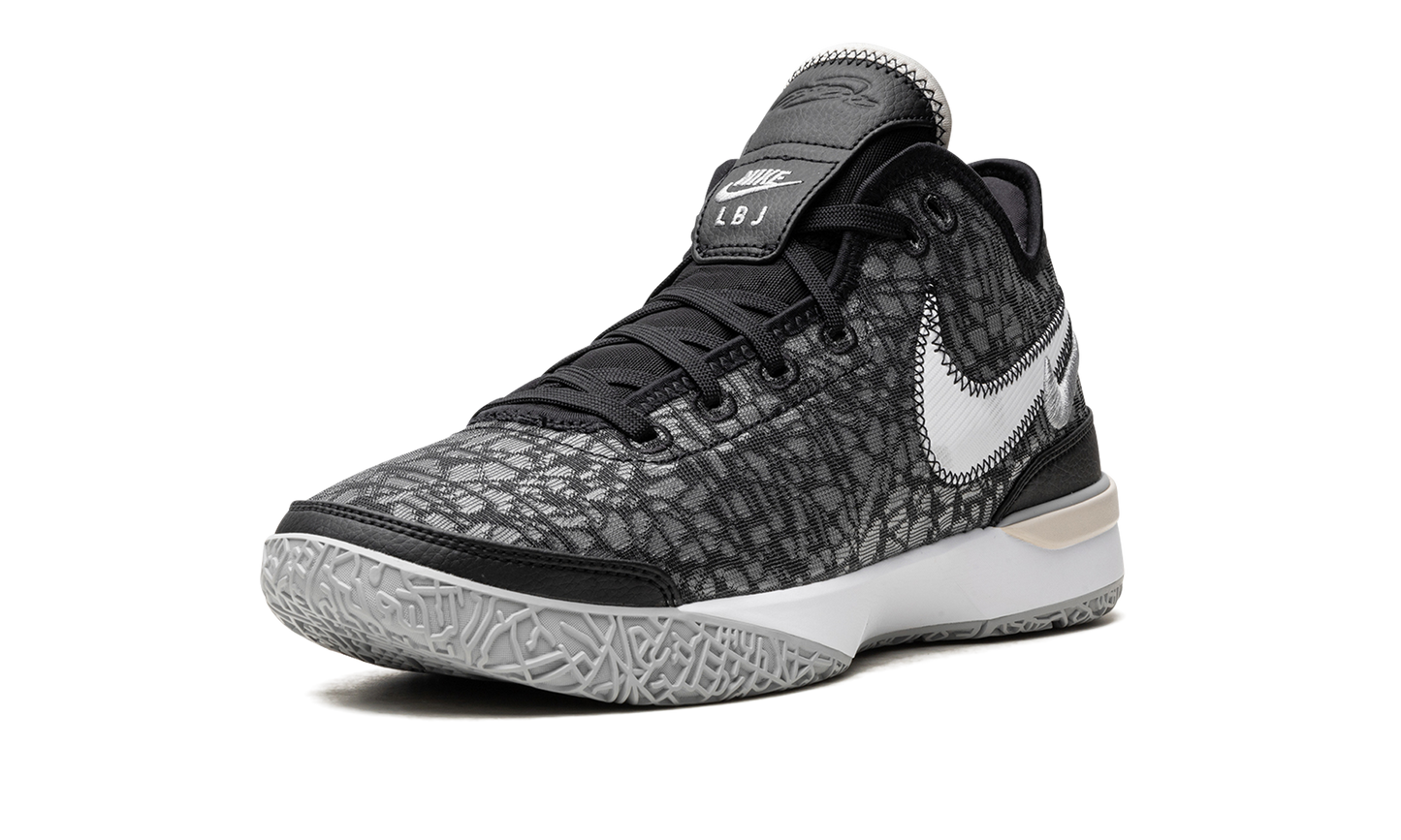 Zoom LeBron NXXT Gen Black / Wolf Grey DR8784 005