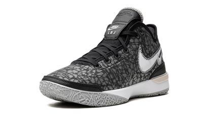 Zoom LeBron NXXT Gen Black / Wolf Grey DR8784 005