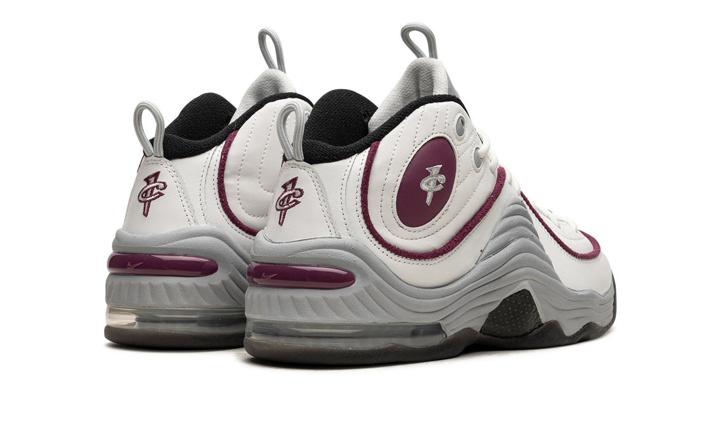 AIR PENNY 2 WMNS Rosewood DV1163 100