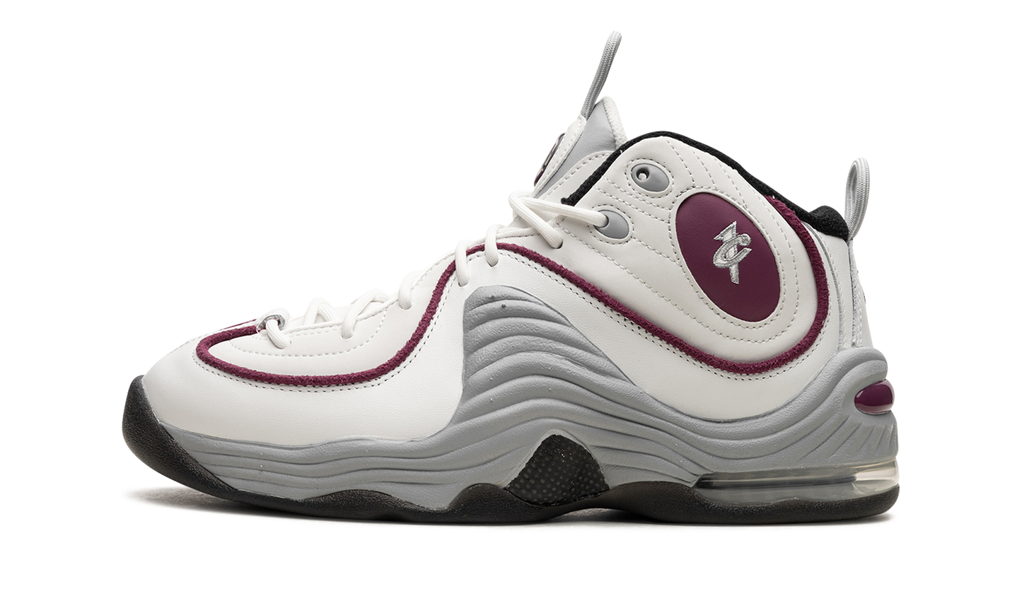 AIR PENNY 2 WMNS Rosewood DV1163 100