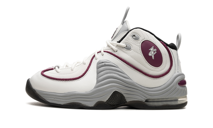 AIR PENNY 2 WMNS Rosewood DV1163 100