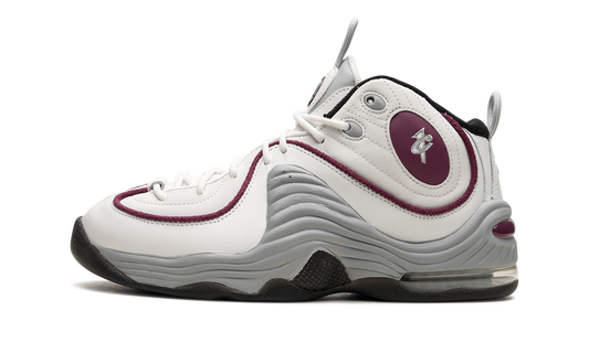 AIR PENNY 2 WMNS Rosewood DV1163 100